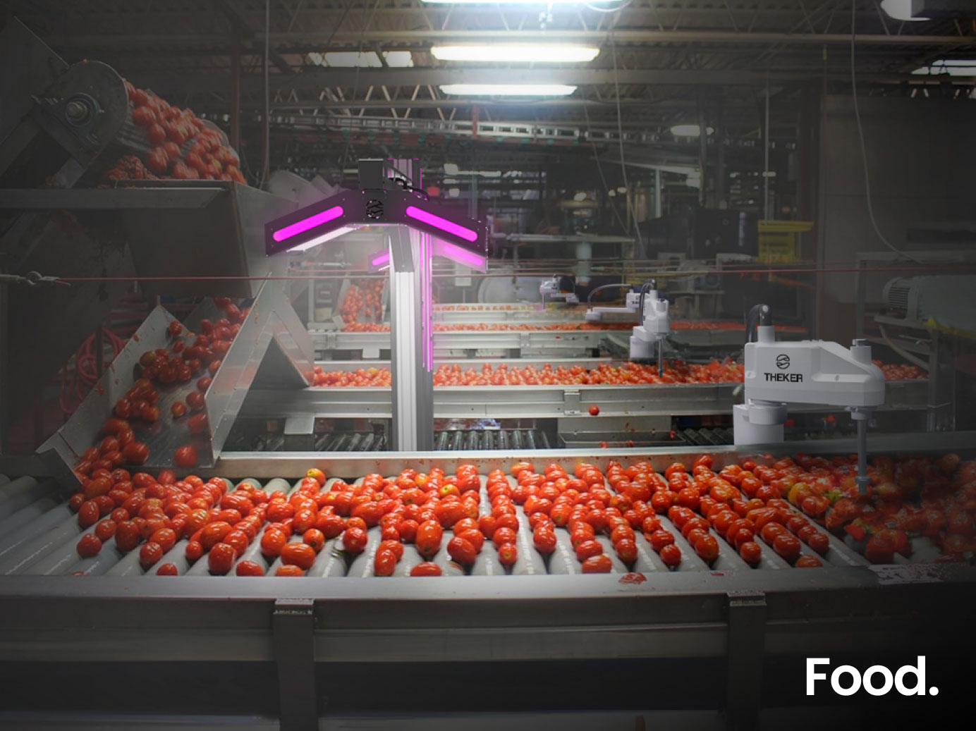 THEKER Robotics Industrial food sorting identification AI system